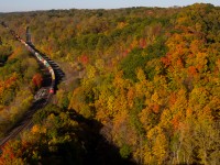While Dundas displays all of it's autumnal glory, one of the freshest faces on CN's roster is seen yonder with train # 148.