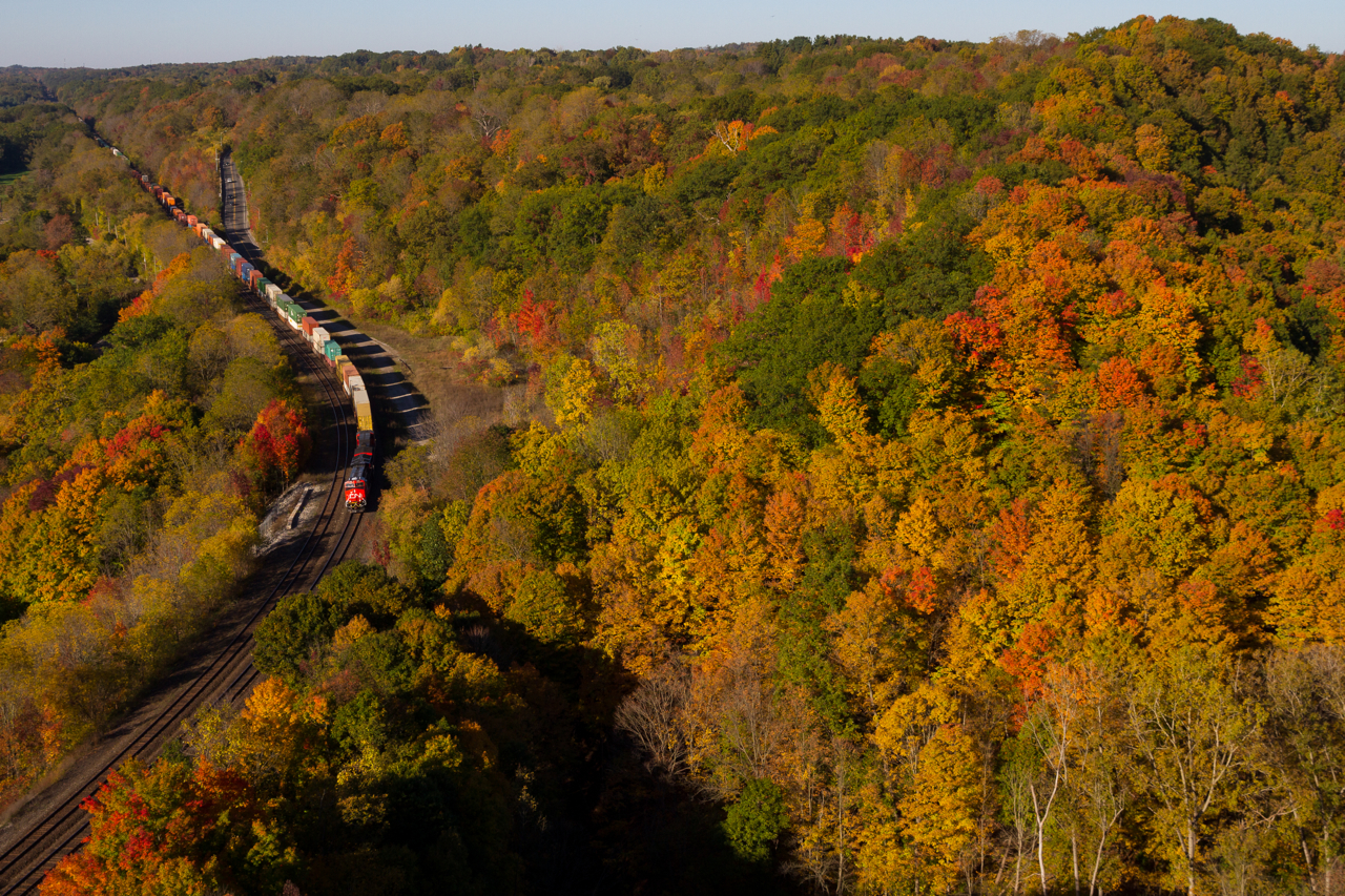 While Dundas displays all of it's autumnal glory, one of the freshest faces on CN's roster is seen yonder with train # 148.
