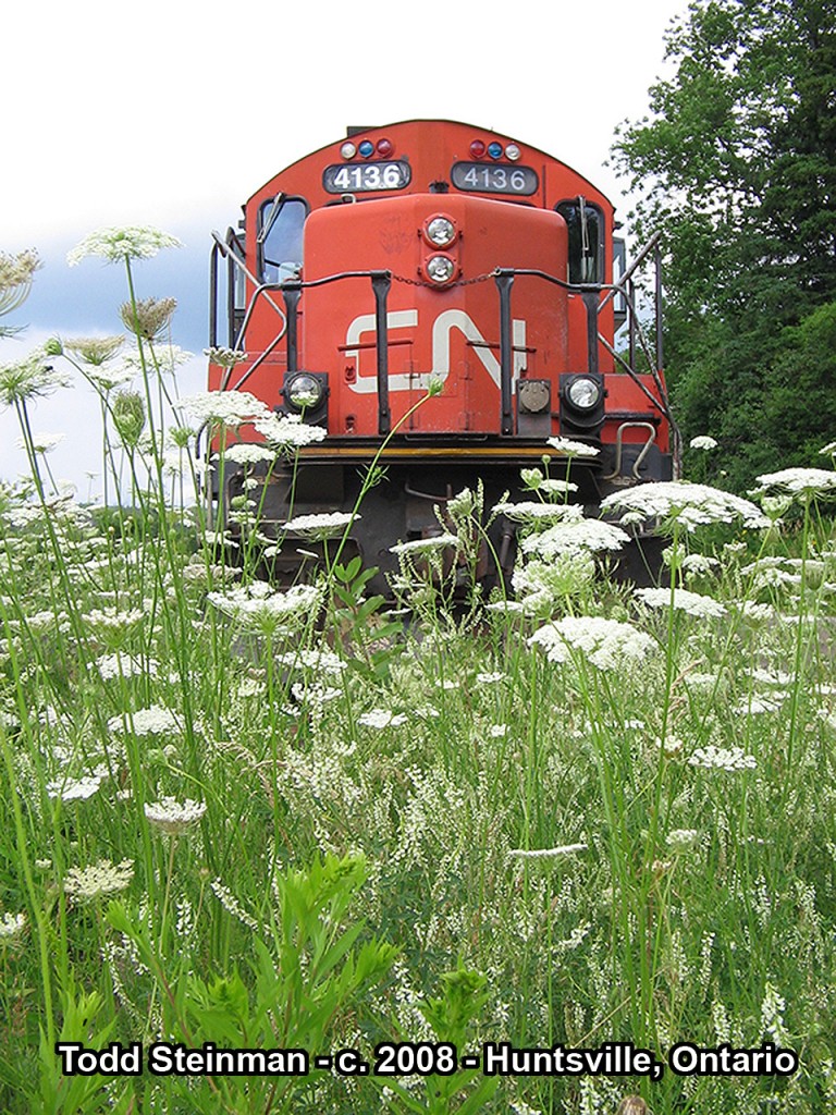 STANDING TALL!  Despite it's age, this engine certainly isn't pushing up daisies! CN 4136 sits quietly on the siding in the railyard at Huntsville, Ontario.