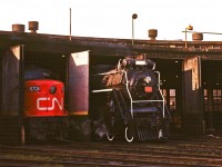 As the sun rises, Northern-type #6167 emerges from her stall at the Spadina roundhouse.  
<br />
<br />

In case you missed the earlier upload, here’s the mighty locomotive a few minutes later on the turntable…  
<br />
<br />
<a href=http://www.railpictures.ca/?attachment_id=18685>http://www.railpictures.ca/?attachment_id=18685</a>