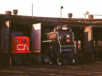 As the sun rises, Northern-type #6167 emerges from her stall at the Spadina roundhouse.  
<br />
<br />

In case you missed the earlier upload, here’s the mighty locomotive a few minutes later on the turntable…  
<br />
<br />
<a href=http://www.railpictures.ca/?attachment_id=18685>http://www.railpictures.ca/?attachment_id=18685</a>