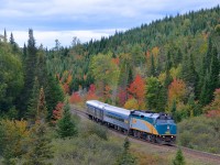 VIA 601 with its normal arrangement of one coach and one baggage car rounds the 'Club Arlau' curve as it approaches the next stop at Rivière-à-Pierre.