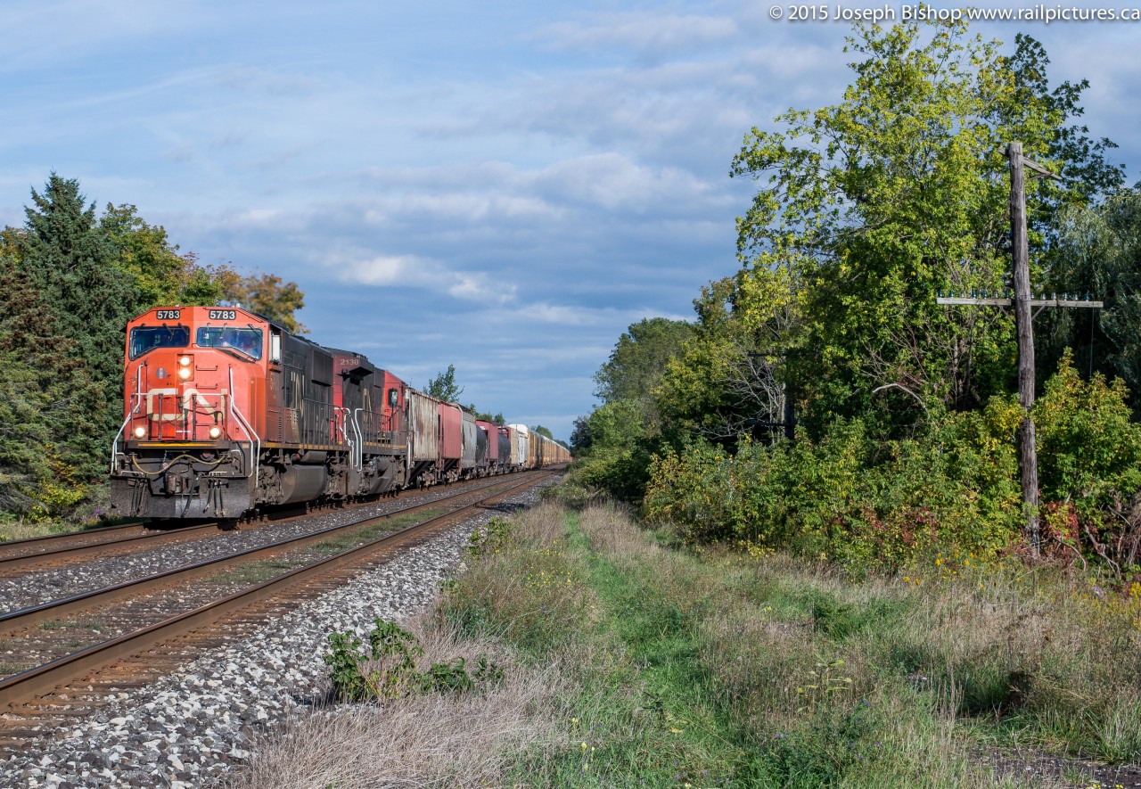 CN 435 roars through Lynden as the gorgeous afternoon sun lights up the train on the last day of September.