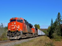 <b>AC power on the Lac St-Jean sub.</b> Even though CN has owned AC power units for a few years, they have been rare on the arduous CN Lac St-Jean sub until recently (where their lugging ability could be put to good use). That has changed recently and here CN 369 is passing MP 47 with 4 AC units: CN 2898 & CN 2949, along with CN 2854 & CN 3000 mid-train).