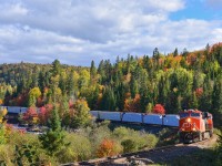 <b>Approaching peak fall colours.</b> CN 2898 & CN 2949 (along with CN 2854 & CN 3000 mid-train) lead CN 369 through the Club Arlau curve with fall colours just about at their peak this far north. The train is heavily laden with natural resources from Northern Quebec, including lumber at the head end.
