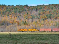 While a week too late for the best fall colours there were still a few red trees on the hillside of the Grenville Fault as the STGA headed westward.