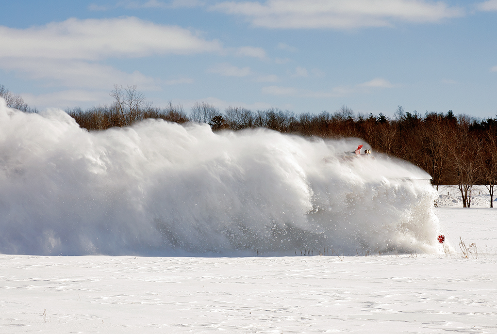 Best viewed from a distance unless you like the adrenaline of standing close.