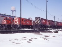 Some old classics at Agincourt back when you could walk in, sign a release form, and go for a walk about.