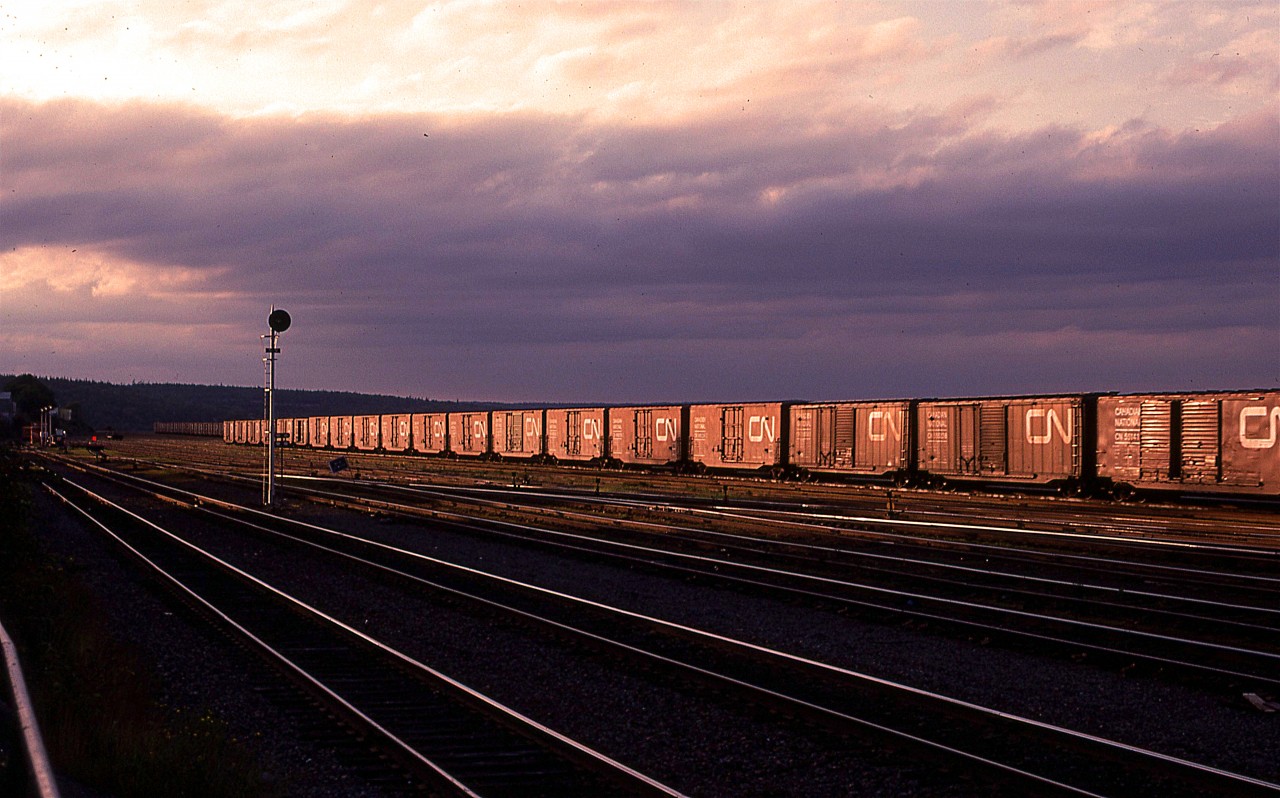 Not all train pictures have to contain a locomotive.
Here, at Rockingham yard along the Bedford Basin in Halifax, a string of 40 ft boxcars is lit by evening sun. The yard is conspicuously empty at this time.