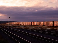 Not all train pictures have to contain a locomotive.
Here, at Rockingham yard along the Bedford Basin in Halifax, a string of 40 ft boxcars is lit by evening sun. The yard is conspicuously empty at this time.