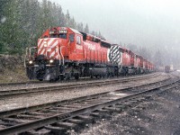 8 or 9 locomotives have this westbound grain train in check as it descends Kicking Horse pass between the two Spiral Tunnels.