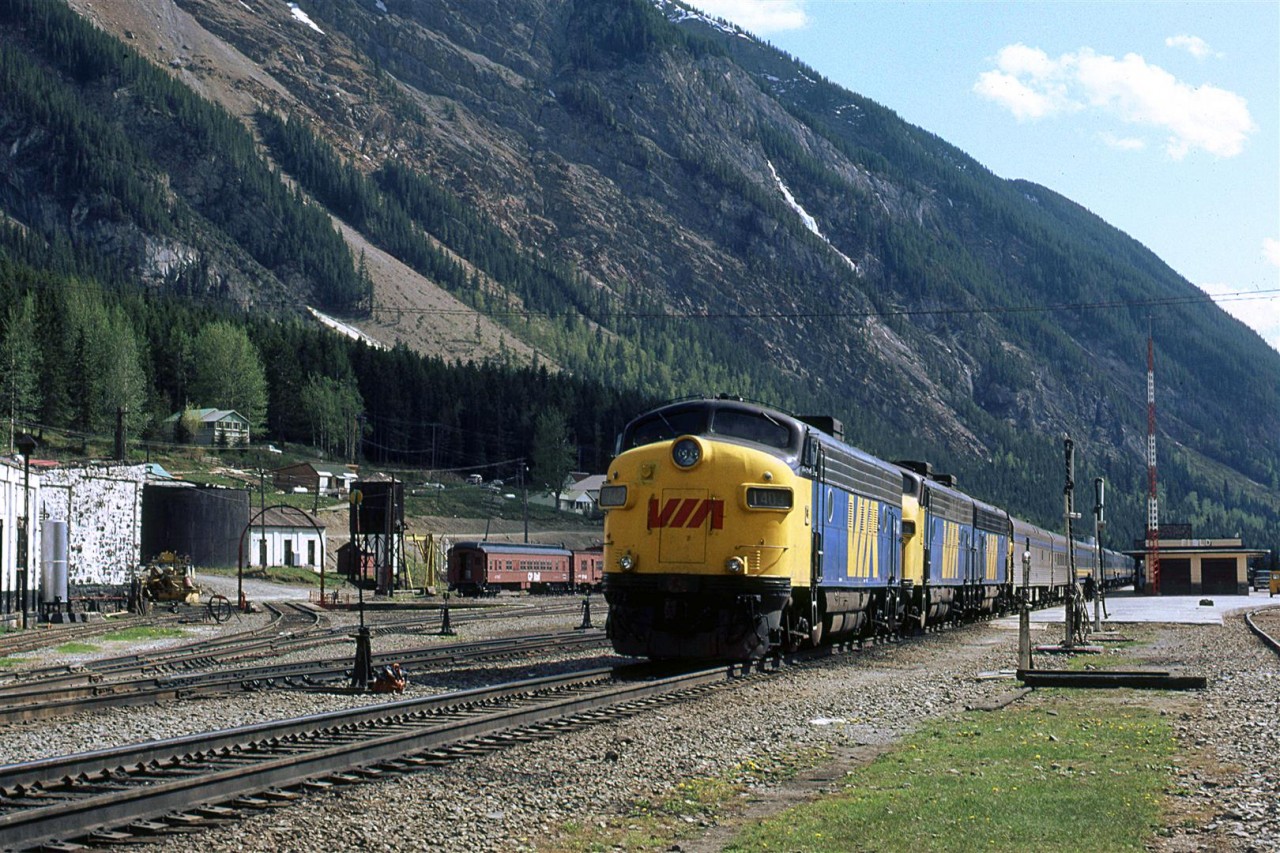 This is Field in 1983 - part of the roundhouse stands, the turntable is in place, fuel tank, water tower, old MOW cars. About all that remains are the tracks, station, and perhaps some newer MOW cars.