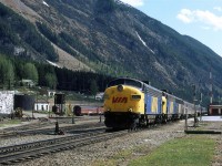 This is Field in 1983 - part of the roundhouse stands, the turntable is in place, fuel tank, water tower, old MOW cars. About all that remains are the tracks, station, and perhaps some newer MOW cars.