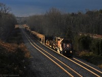 A break in the gloom provides a bit of dramatic lighting as CP 5968 leads eastbound CWR along Spicer siding. 1539hrs.