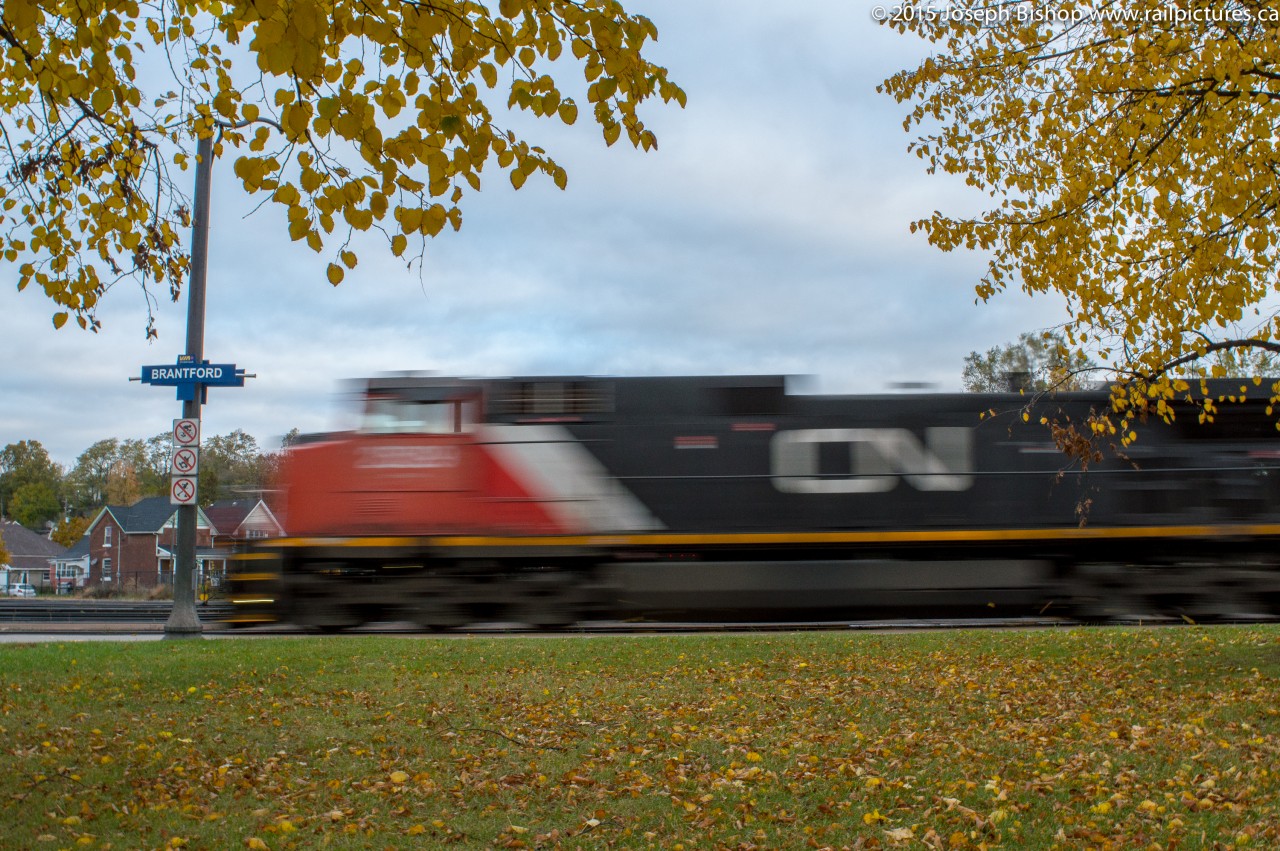 CN 385 streaks through Brantford on a dreary October morning.  After one day of intense rain followed by high winds I was surprised to still find some fall colours hanging on, so I worked them into my shot.