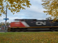 CN 385 streaks through Brantford on a dreary October morning.  After one day of intense rain followed by high winds I was surprised to still find some fall colours hanging on, so I worked them into my shot.