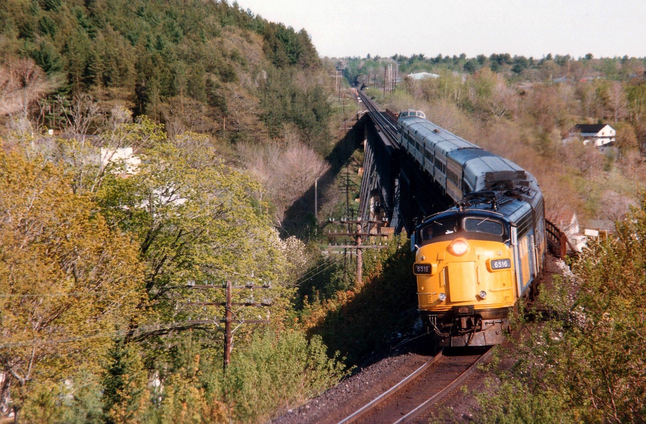 VIA 6516 and 6628 is northbound to Sudbury from Toronto with the T.O. section of the Canadian which will meet up with the Montreal portion of same at Sudbury Jct. This is a little bit of a different view than usually seen of this train as it rolls over the huge Parry Sound trestle, into the curve and a stop at the CP Station. This location is obscured by foliage and an impossible shot nowadays. Interesting fact: VIA 6516 became Conway Scenic (NH) 6516 and is currently on PanAm Rwys as their #2 on business trains.