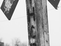 <b> FREE ADVERTISING? </b> The Toronto, Hamilton and Buffalo Railway Co. was always in the shadow of what is nowadays the two most powerful railroad companies - that of the Canadian National and the Canadian Pacific. Although CP did end up purchasing the TH&B in time,  it all came to a crashing halt in the mid-80's with a devastating landslide after a major rainstorm. It washed away the grade coming down into Brantford on the Waterford Subdivision, thus only today there is a small section of trackage still in place. It is used to serve a couple of industries...and here, beside Earl Haig Park a remnant from the good old days of railroading remains. Although the crossing signs have changed this post still stands, proudly symbolizing an era of railroading that has changed drastically in the last 60 years. 