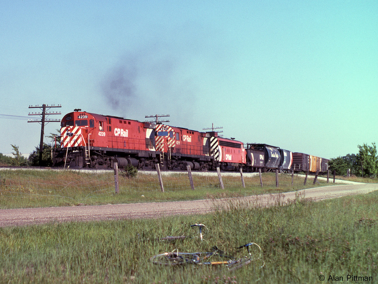 C424's CP 4239 and CP 4211 and an FP7A are working hard pulling a long train of general freight northbound on the Mactier sub. Recently re-painted CP 4239 has the wide stripe multimark scheme, as does the FP7A. CP 4211 wears the original narrow stripe multimark scheme it received some years before.
The train is on the main line with Elder siding between it and the photographer. 
Interesting flatcar loads on this train included a combine harvester and a large transformer.
Our mode of transport was hastily abandoned in the grass when my brother and I heard this train coming. We were only expecting to see "The Canadian".
Since 1991 the south lead to CP's Vaughan Intermodal Terminal branches off Elder siding right about here.