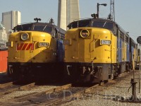 What they say is true; you never realize what you had until its gone............