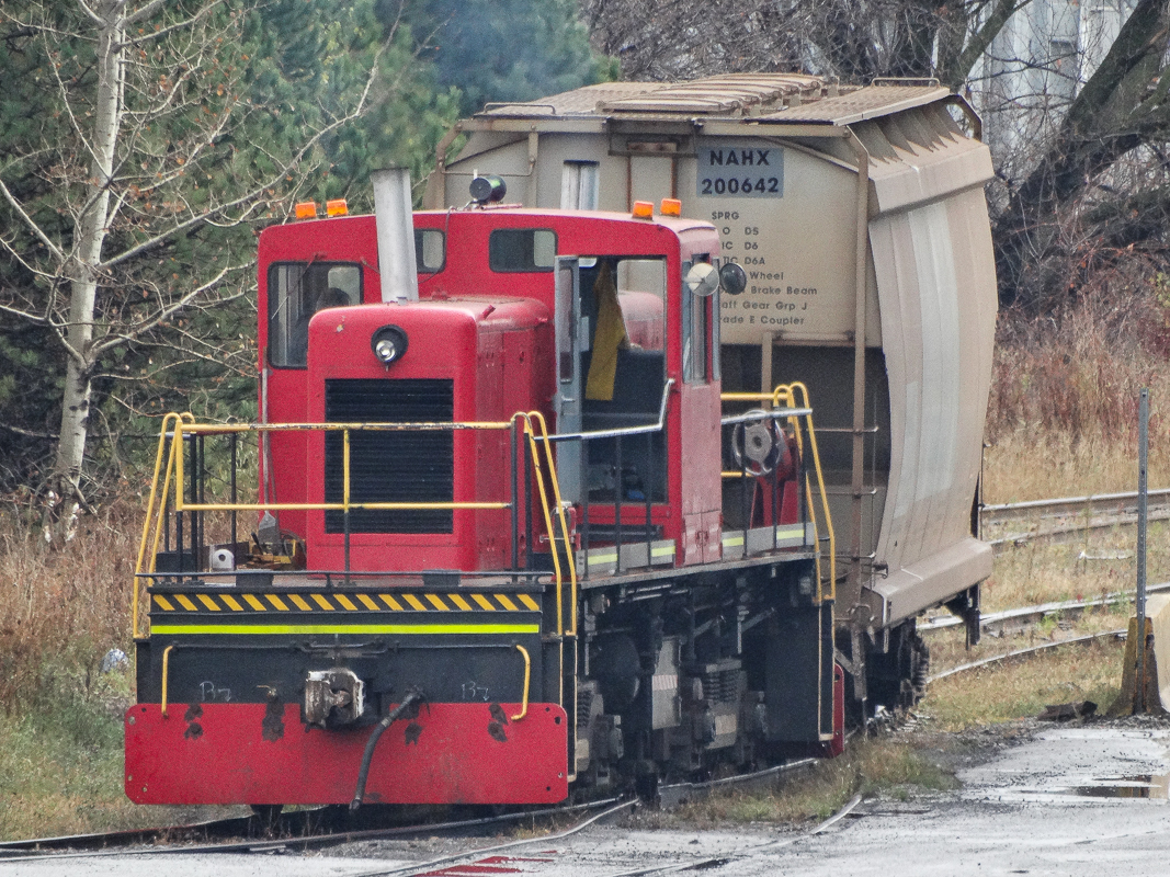 The Gerdau steel plant elusive critter makes a rare appearance on the east side of the Whitby facility. Shot from the Hopkins road overpass.