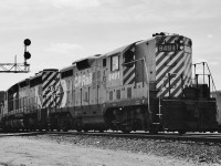 For the Motive Power history fan.
<br>
<br>
The ubiquitous GP 9 ( GMD 1956 )
<br>
<br>
Commonly  referred to as:  Geep
<br>
<br>
CPR purchased new  191 ( + / - )    Geep's  (  7's and 9's ) all GMD built 1952 through 1958, ( plus the F's ( same mechanicals different body)).
<br>
<br>
And under load,  I can still hear that unique ringing sound of that    ( non turbo charged )  567 engine.
<br>
<br>
Six decades ago The Geep replaced steam classes D, P, G, and just about anything else steam  ( that is the 10 Wheelers, Mikado, Pacific ( large and small ), steam in general).  
<br>
<br>
And today even the ubiquitous SD 40 is a rarity ( CP Rail purchased hundreds new  40's and 40-2's) .
<br>
<br>
GP 9 #8491 and SD 40  #552x  with a regular scheduled eastbound freight on the Leaside, Ontario crossover, Spring 1977  - only 17 years removed from steam. ( CP 8491 was rebuilt to CP1566 in 1983 ). Kodak  Negative by S.Danko.
<br>
<br>
<br>
What's interesting – ( CP corporate )
 <br>
<br>
CP Rail was a Division of Canadian Pacific Limited.
<br>
<br>
 Each CPL Division had its own unique MultiMark ( introduced July 17, 1978 )  colour: Air, Hotels, Rail, Ships, Telecommunications, Truck.
<br>
<br>
 If I recall the respective corporate colours were orange, gray, action red, green, yellow, dark blue. The MultiMark adorned all forms of CP assets: from cutlery, dishes, stationary, travel bags, hotel buildings,  planes ( DC 8  and DC 9 ), rail cars, ships, buildings.
 <br>
<br>
CP Limited  sold CP Air in 1987 as part of the merger of Nordair and Pacific Western to form  Canadian Airlines ( the latter bought by Air Canada before AC went bankrupt too)
<br>
<br>
October 3, 2001 Canadian Pacific Limited spin off the remaining Divisions into separate companies and at that time the Canadian Pacific Railway Limited that we know today was created.
<br>
<br>
CP Hotels acquired the Delta and Princess Hotels (in 1998) and Fairmont chain (1999) then  changed name – in October 2001 to Fairmont Hotels and Resorts and in January 2006 Fairmont was acquired by Kingdom Hotels (Saudi Arabian owned ).
<br>
<br>
CP Ships Limited ( at that time THE major source of CP Rail's container traffic )  was sold in 2005 to TUI AG (Germany) who merged CP Ships into the Hapag-Lloyd division.
<br>
<br>
More Geeps:
<br>
<br>
        <a href="http://www.railpictures.ca/?attachment_id=17791">  by A W M </a> 
 <br>
<br>
        <a href="http://www.railpictures.ca/?attachment_id=18149"> by M D C </a> 
 <br>
<br>
        <a href="http://www.railpictures.ca/?attachment_id=3102"> T H & B version </a> 
 <br>
<br>
sdfourty