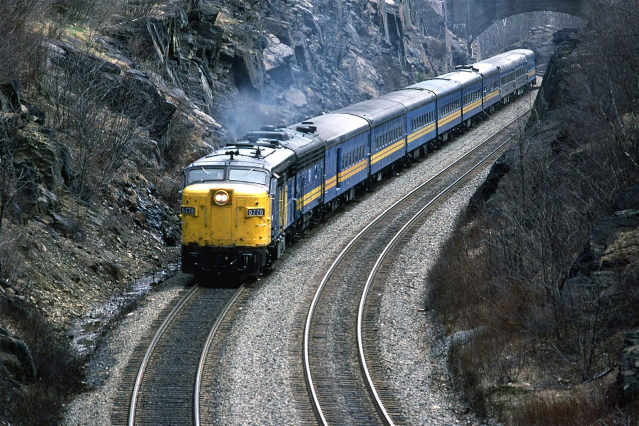 The westbound "Ocean" passes through a rock trench on the west side of Halifax shortly after leaving the station.
Now this is all overgrown. It looks like a jungle, not a rock canyon.