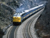 The westbound "Ocean" passes through a rock trench on the west side of Halifax shortly after leaving the station.
Now this is all overgrown. It looks like a jungle, not a rock canyon.