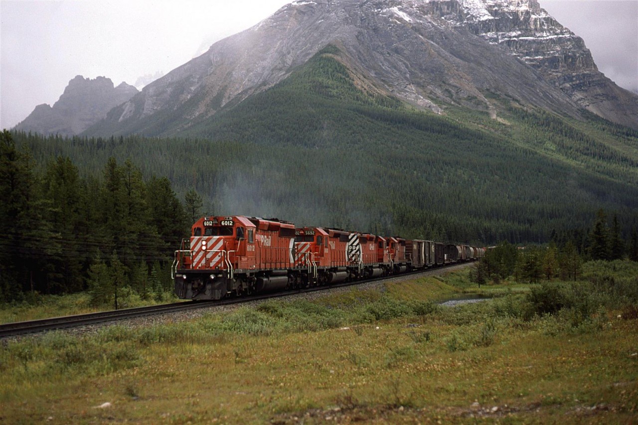 An eastbound manifest train is about to crest the Rockies. Cathedral Mountain dominates the background. Where the cars can be seen curving away is where Hector lake is situated. The tracks are level at that point but climb somewhat where the engines are.