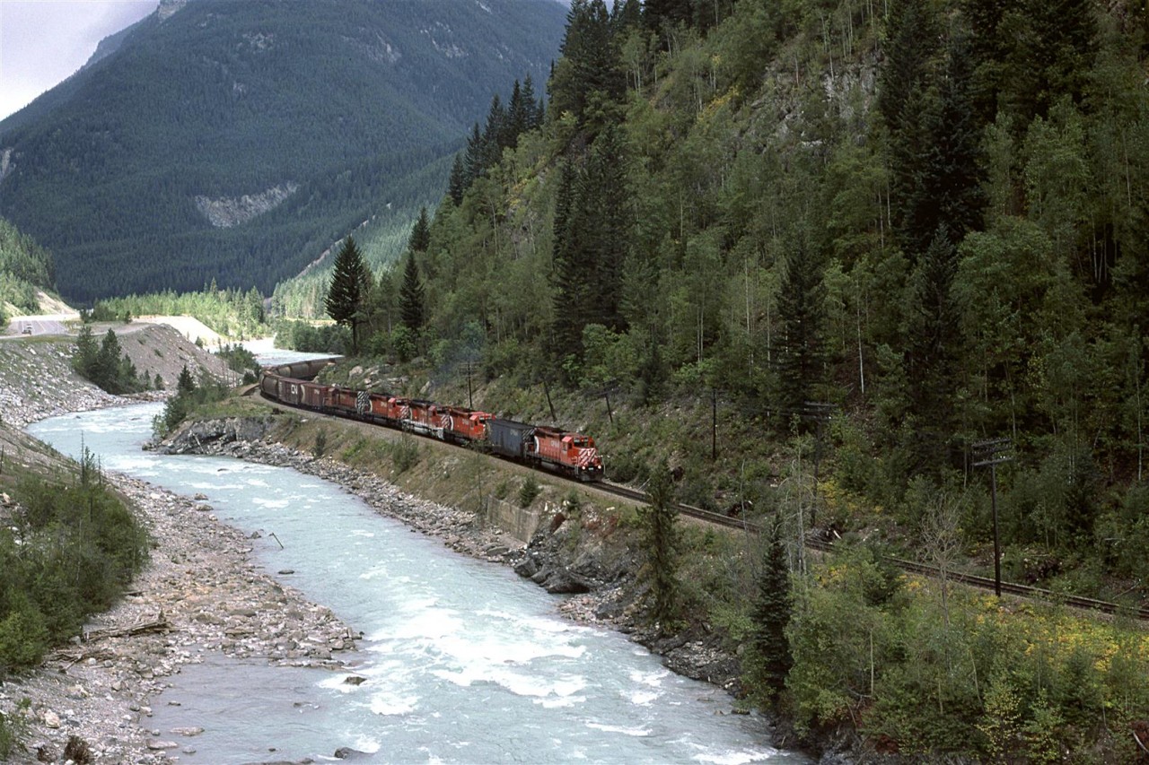 An eastbound manifest works uphill along the banks of the Kicking Horse River. A new bridge support for a TCH alignment sits on that piece of land adjacent to first hopper car.