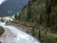 An eastbound manifest works uphill along the banks of the Kicking Horse River. A new bridge support for a TCH alignment sits on that piece of land adjacent to first hopper car.