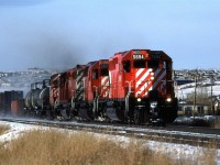 An eatbound manifest barrels through Brickburn in west Calgary. The first 3 cars appear to be used for liquid sulphur transport.