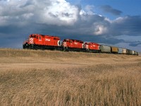 This westbound CP manifest was caught somewhere betwen Crowley and Fort MacLeod, but I cannot be certain of its location.
