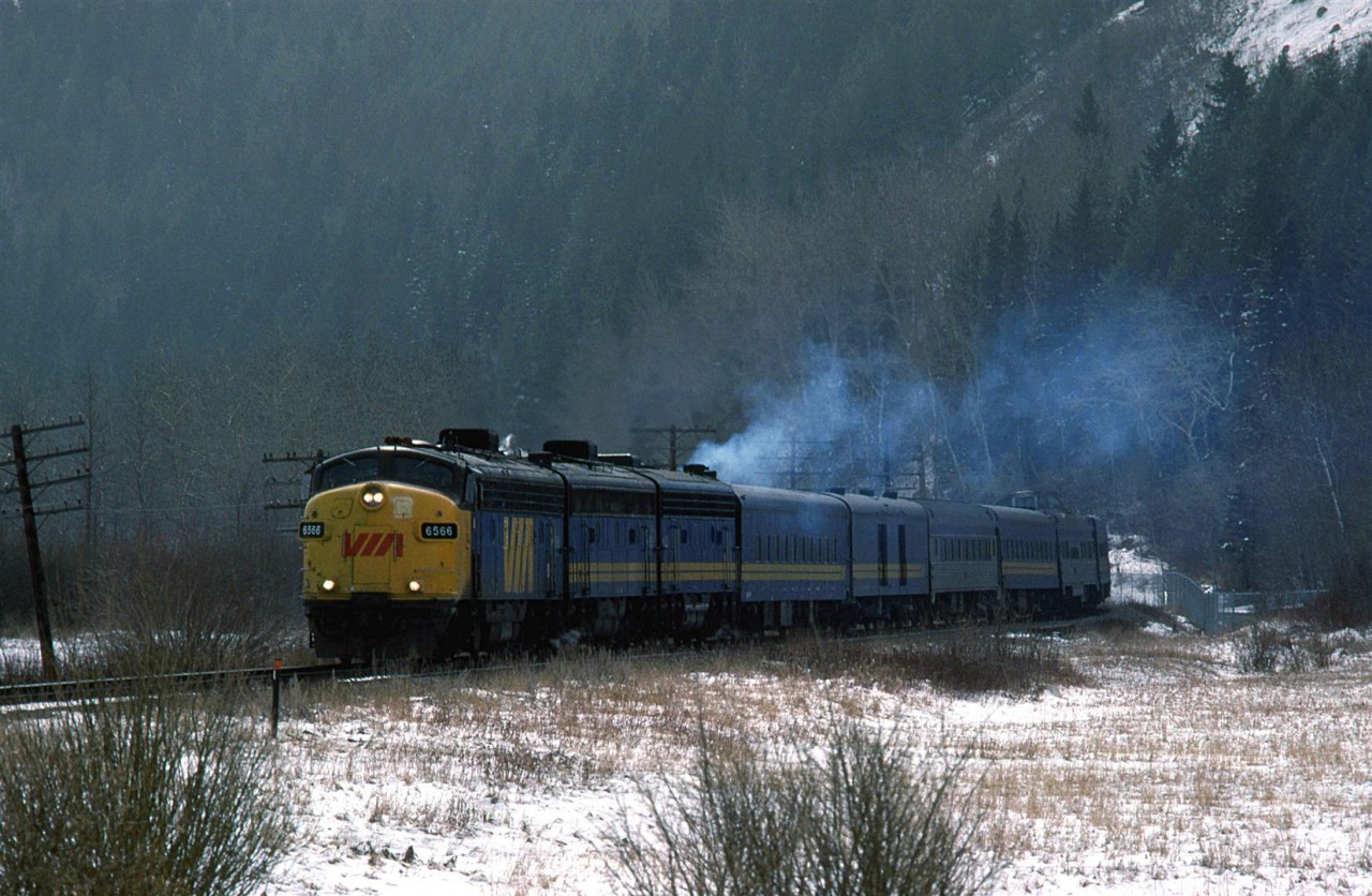 The westbound "Canadian" accelerates out of Calgary. photographed in Edworthy Park