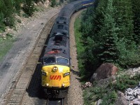 VIA's eastbound "Canadian" climbs Kicking Horse Pass between the spiral tunnels. The pealing paint on the lead locomotive is just one clue that this was once in CP colours.