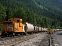 This empty potash train is at Yoho, I believe.