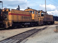 We happened upon this BCH activity as we were leaving the Vancouver area. This was just off the Trans Canada Highway, where we stopped for gas or lunch.
I would soon learn that this RR would be changing their paint scheme to a boring blue, white and red motif.