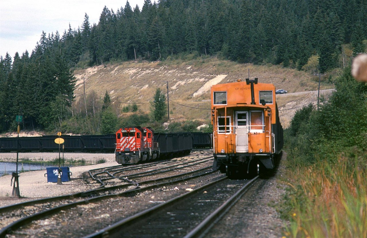 Golden's yard on the Windermere Sub full of coal trains.