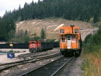 Golden's yard on the Windermere Sub full of coal trains.