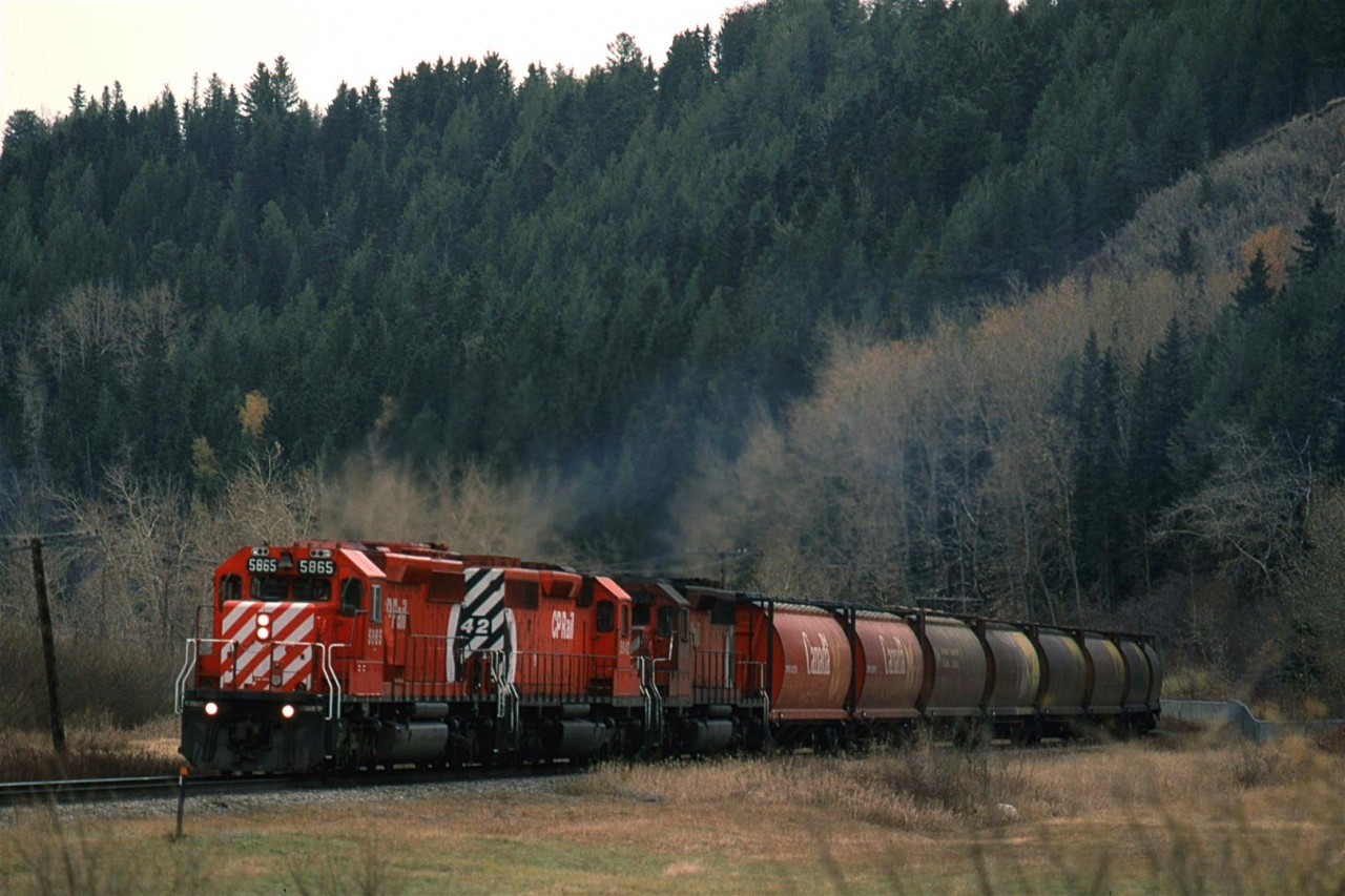 After, the eastbound "Canadian" passed, this westbound grain train came through Edworthy Park. The conifers line the south slope of the Bow River Valley.