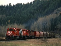 After, the eastbound "Canadian" passed, this westbound grain train came through Edworthy Park. The conifers line the south slope of the Bow River Valley.