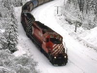 This grain train eases down the slope through Kicking Horse Pass. It is between the Spiral Tunnels. The snow on the ground and in the air muffles the sound significantly.