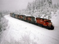 The  train is trough the Spiral Tunnels and is about to go through a significant slide area, and then it will run along a ledge on Cathedral mountain into Field.