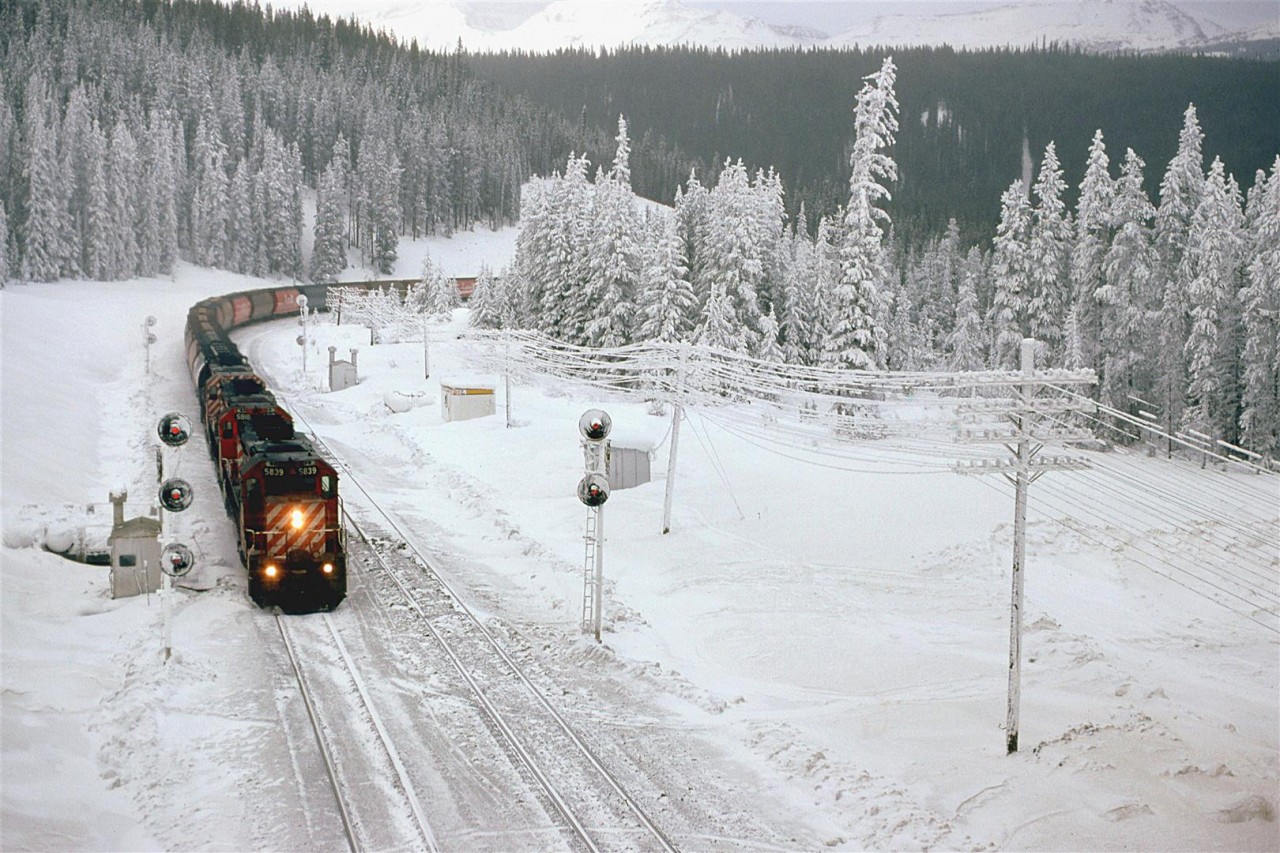 Another grain train approaches the continental divide at Stephen, on the Alberta - BC boarder.