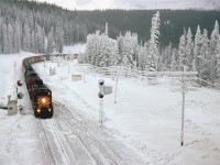Another grain train approaches the continental divide at Stephen, on the Alberta - BC boarder.