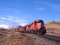 Another empty grain train winds through the twisted track along the Bow River between Cochrane and Calgary.
The Radio Control Car is still in British Colombia Railway colours.