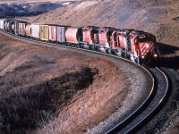 Another eastbound mixed bag of a train is through Cochrane on its final leg into Calgary.
