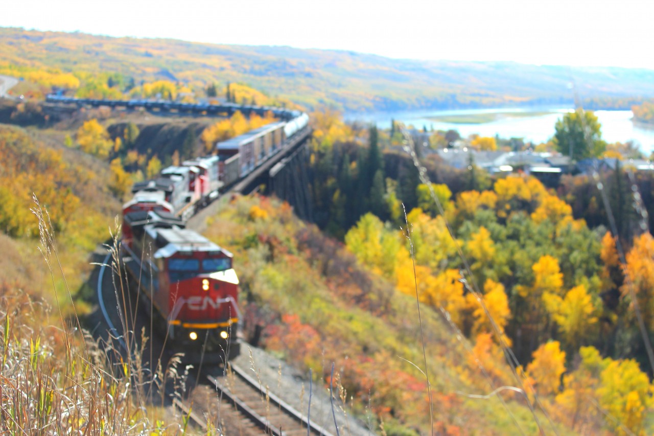 The bright reds of a Northbound train add to the fall colours on the side of the Peace River hill, as this 6500' train winds down the 2.8% grade enroute to trade off with the southbound train standing by another mile up the tracks.