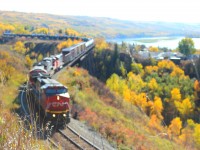 The bright reds of a Northbound train add to the fall colours on the side of the Peace River hill, as this 6500' train winds down the 2.8% grade enroute to trade off with the southbound train standing by another mile up the tracks.