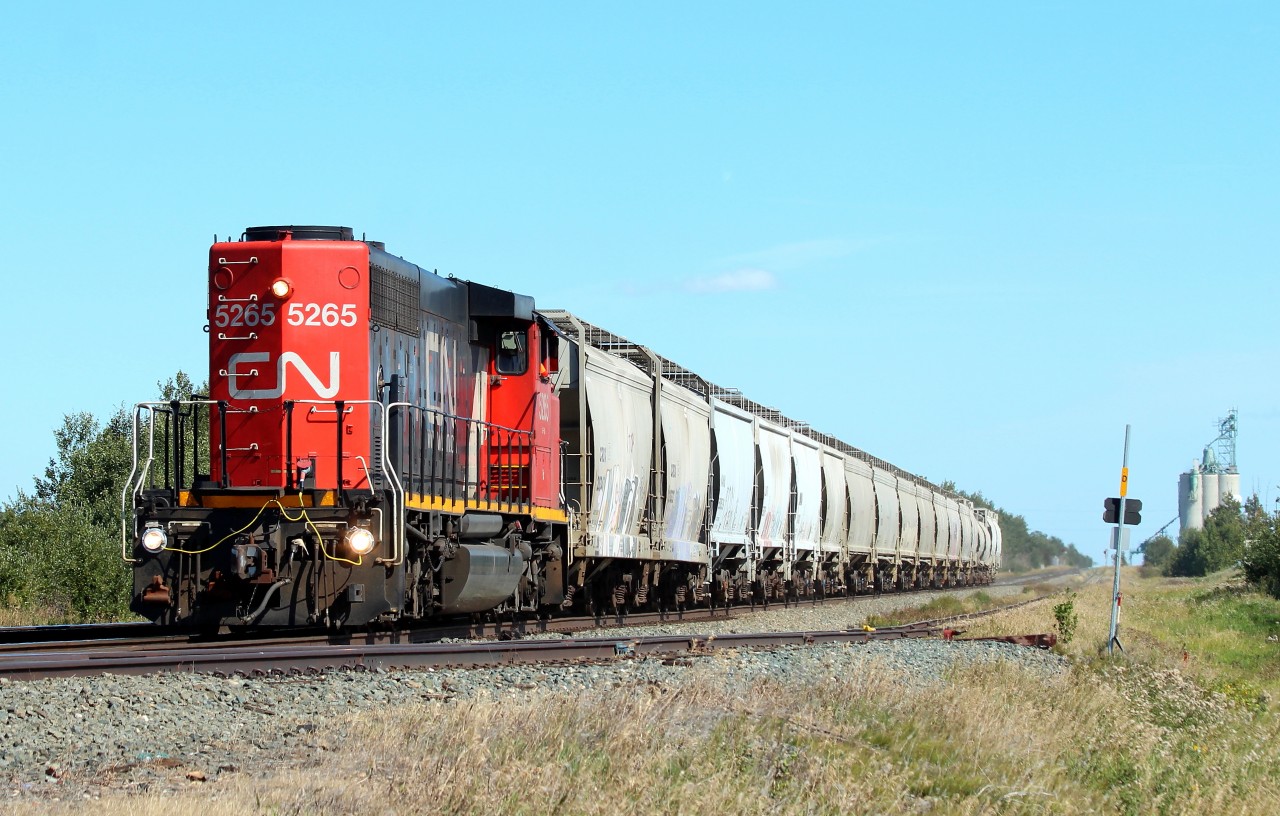 CN 519 hustles along at 50MPH Long Hood Forward out of Edmonton with some make-shift ditchlights on the rear (head) of the SD40.